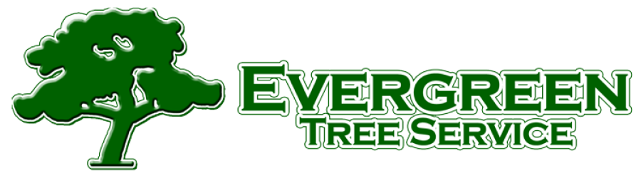 Evergreen Tree Service GBP New